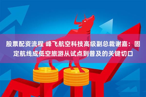 股票配资流程 峰飞航空科技高级副总裁谢嘉：固定航线成低空旅游从试点到普及的关键切口